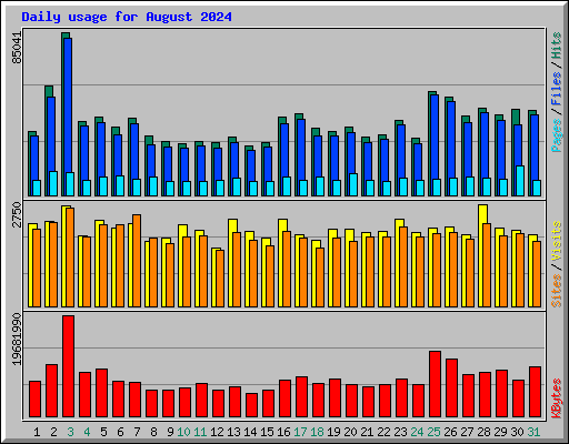 Daily usage for August 2024