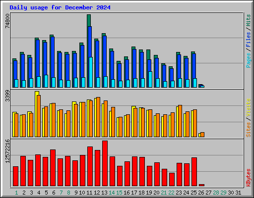 Daily usage for December 2024