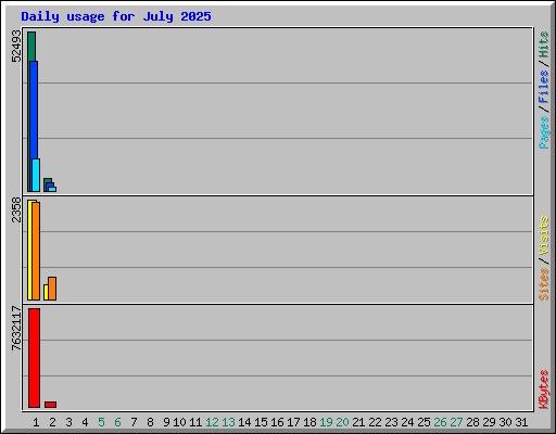 Daily usage for July 2025