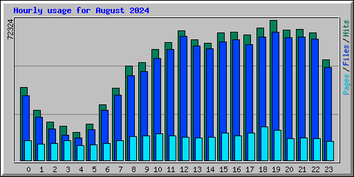 Hourly usage for August 2024