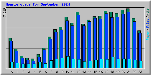 Hourly usage for September 2024