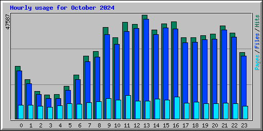 Hourly usage for October 2024