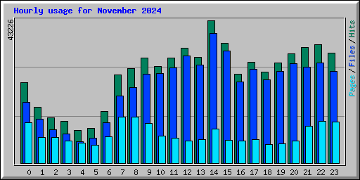 Hourly usage for November 2024