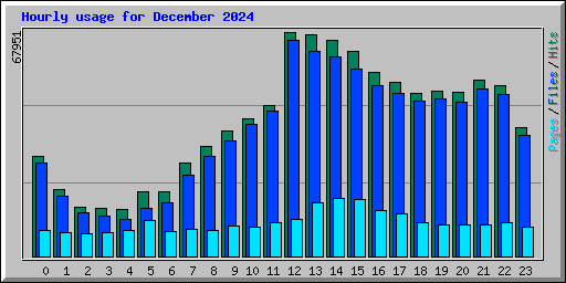 Hourly usage for December 2024