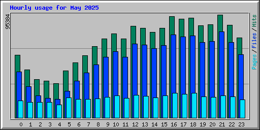Hourly usage for May 2025
