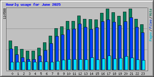 Hourly usage for June 2025