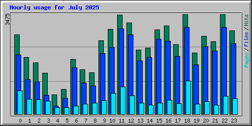 Hourly usage for July 2025